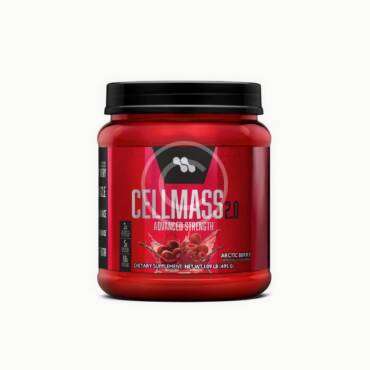 Advanced mass gainer